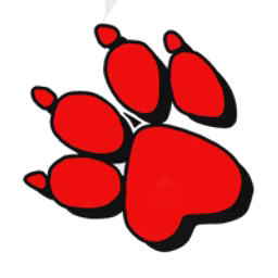 Naughty Dog logo