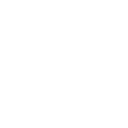 Take-Two Interactive logo