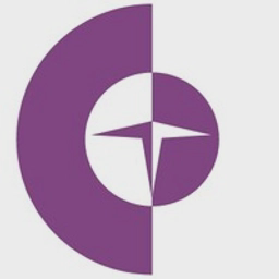 Chicago Trading logo