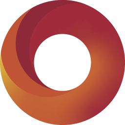 DDN logo